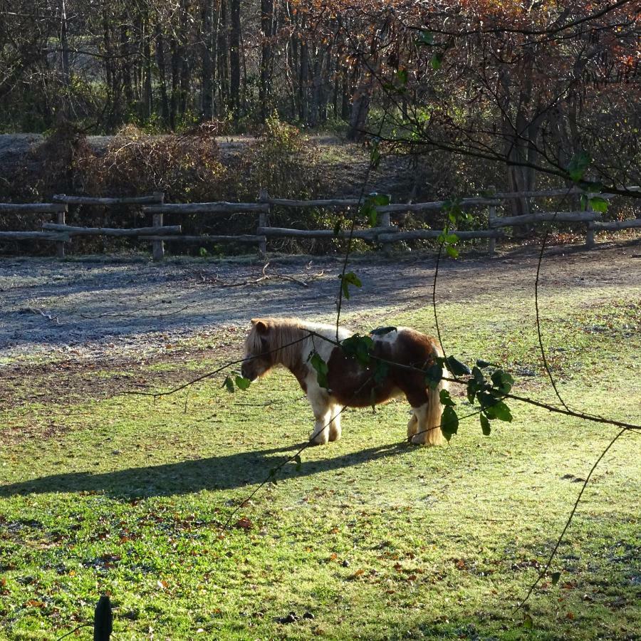 Agriturismo Campo Dei Fiori Rancio Valcuvia Zewnętrze zdjęcie